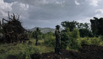 RDC : le combat de Bantu Lukambo pour sauver un paradis naturel malgré la guerre