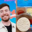 MrBeast and Logan Paul’s Lunchables alternative immediately hit with mold complaints