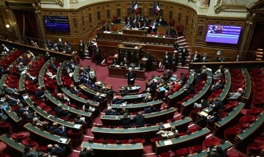 Crise en Nouvelle-Calédonie : le Sénat unanime pour reporter les élections provinciales, l'Assemblée se prononcera début novembre