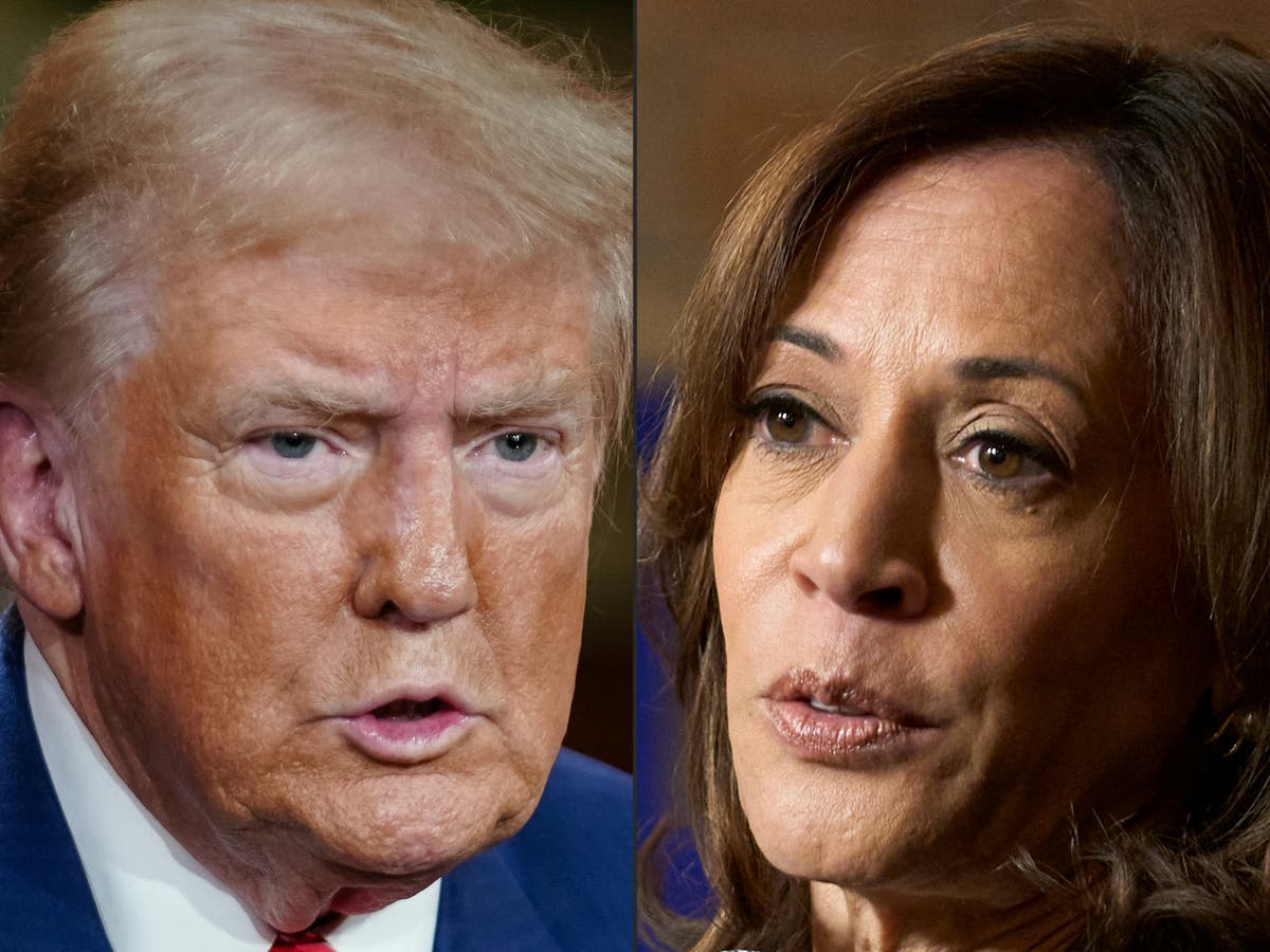 Harris calls Trump ‘unhinged and unstable’ over reported Hitler comments: Election 2024 live updates