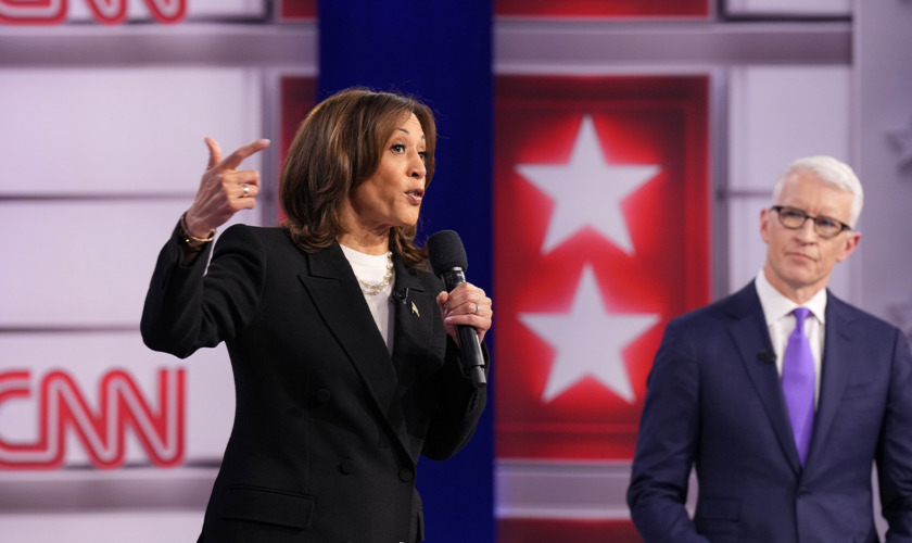 Harris stumbles on the border when pressed on illegal immigration: 'Is a border wall stupid?'