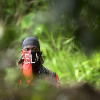 Quelque 361 défenseurs de l'environnement ont été assassinés en six ans en Colombie