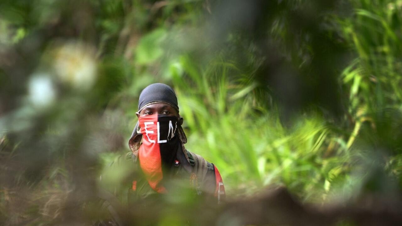 Quelque 361 défenseurs de l'environnement ont été assassinés en six ans en Colombie