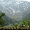 Au cœur des Alpes japonaises, un festival où la météo est l’artiste star