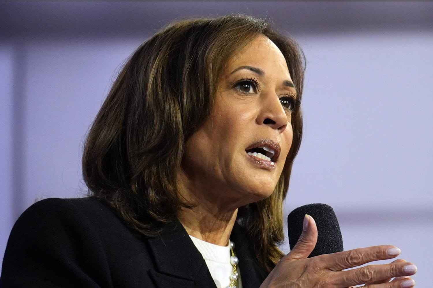 Kamala Harris : sondages, programme... des résultats très serrés et une fin de campagne décisive