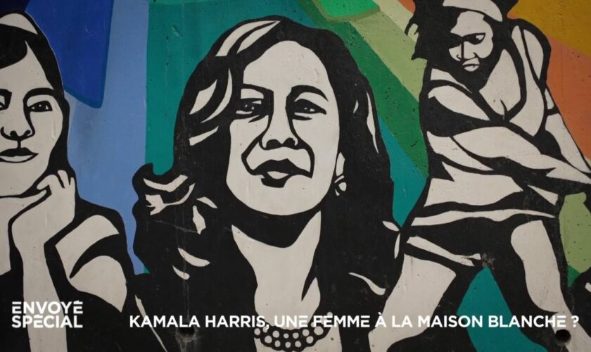 VIDEO. A la découverte d'Alpha Kappa Alpha, l'influente sororité universitaire de femmes afro-américaines où Kamala Harris a fait ses classes