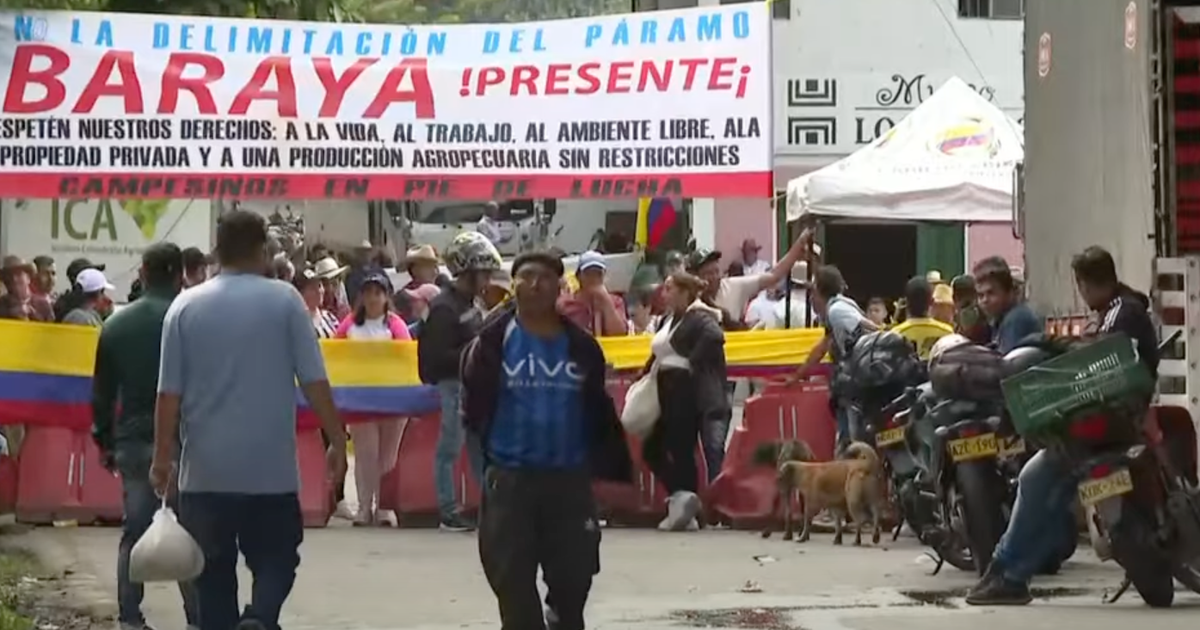 En pleine COP16, des agriculteurs manifestent contre une loi environnementale en Colombie