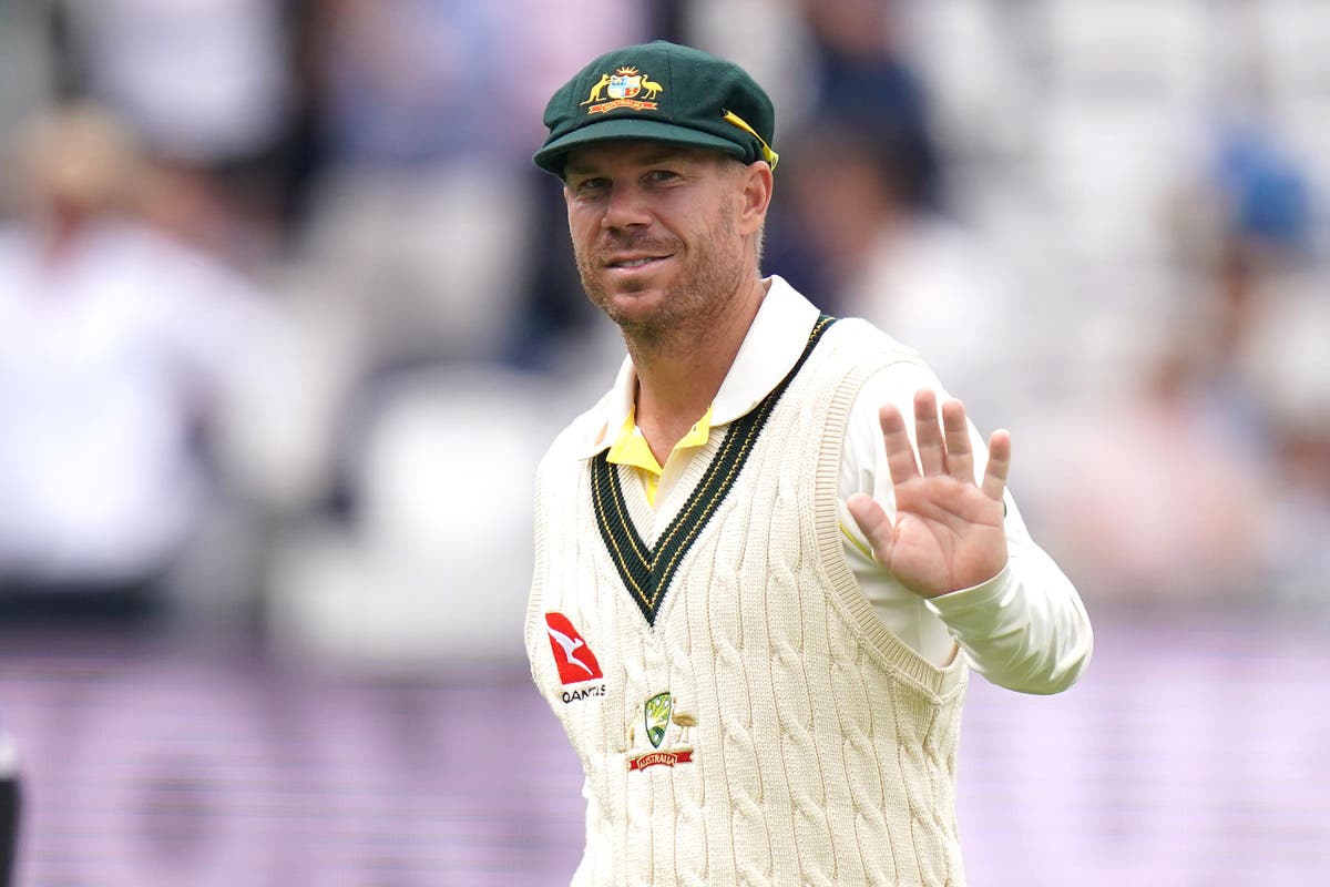 David Warner’s lifetime leadership ban lifted by Cricket Australia