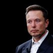 Wall Street Journal: Elon Musk soll seit Jahren direkten Kontakt zu Putin haben