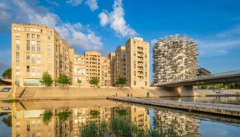 « Montpellier résiste plutôt bien » : le marché immobilier se redynamise grâce à la baisse des taux