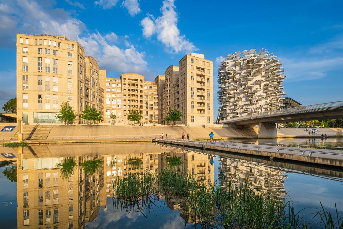 « Montpellier résiste plutôt bien » : le marché immobilier se redynamise grâce à la baisse des taux