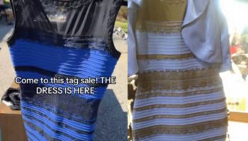 Woman goes viral after finding the optical illusion dress at a yard sale