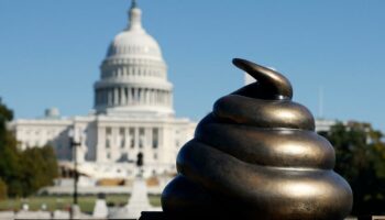 Une statue se moquant des émeutiers du Capitole a été installée à Washington