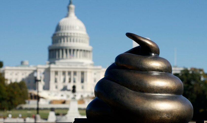 Une statue se moquant des émeutiers du Capitole a été installée à Washington