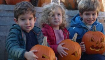 Halloween : à la recherche de la citrouille la plus effrayante