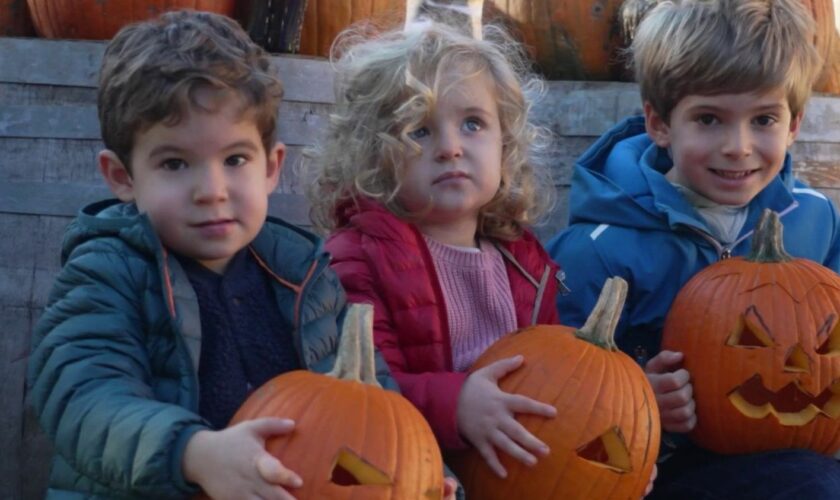 Halloween : à la recherche de la citrouille la plus effrayante