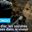 RD Congo : les sociétés chinoises et l'exploitation illégale de l'or au Sud-Kivu