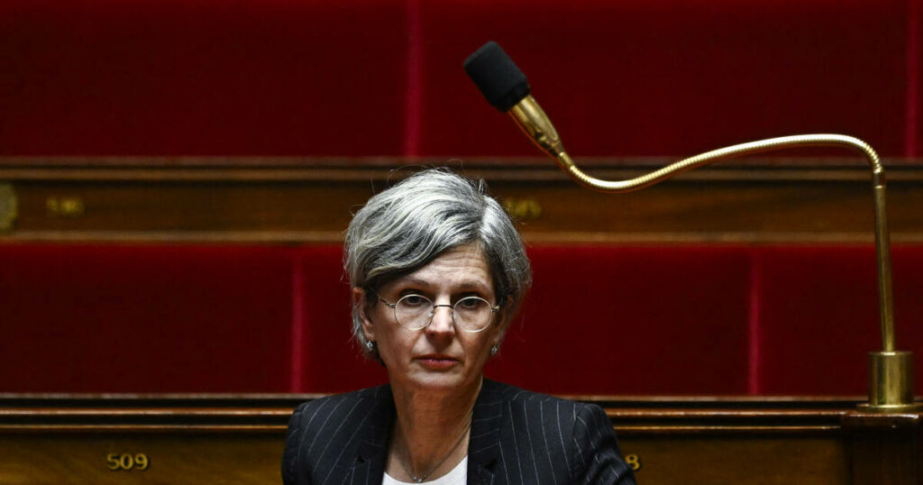 A l’Assemblée, le presque bras d’honneur de Sandrine Rousseau suscite l’émoi d’un député RN