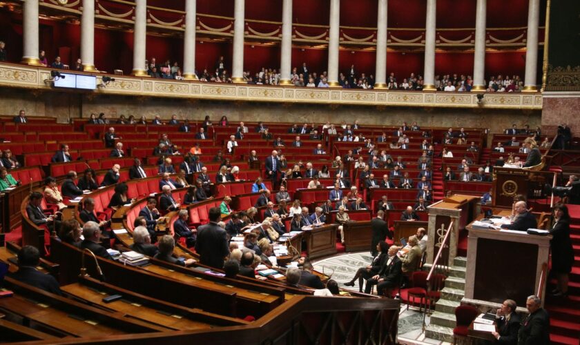 Budget 2025 : l'Assemblée rejette l'enveloppe allouée à l'Union européenne, que le RN avait rabotée de 5 milliards d'euros