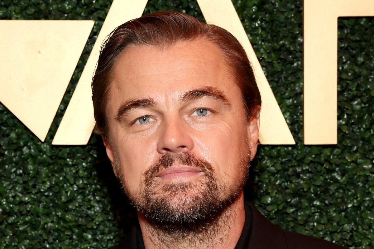 Leonardo DiCaprio shares presidential endorsement as 2024 election approaches