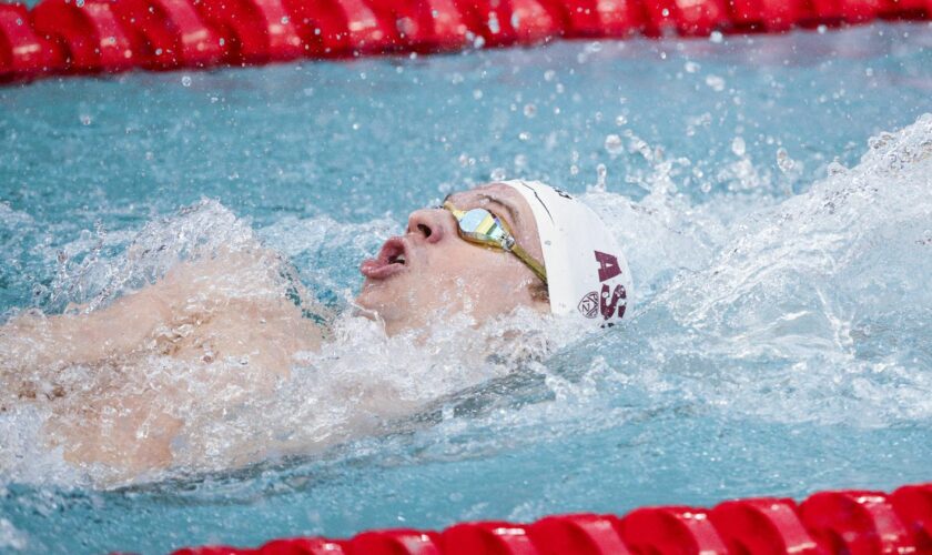 VIDEO. Coupe du monde de natation : Léon Marchand s'impose à nouveau sur le 400 m 4 nages et améliore son record de France