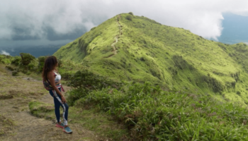 Découverte : la Montagne Pelée, un spectacle vertigineux en Martinique