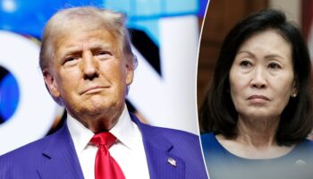 Trump endorses California's Rep. Michelle Steel: 'Tremendous Champion'