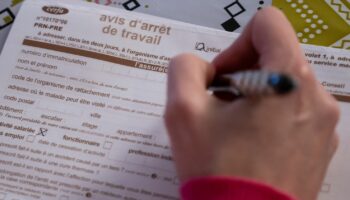 Arrêts-maladies des fonctionnaires : "Le gouvernement devrait plutôt améliorer les conditions de travail", estime le Syndicat national des professionnels de la Santé au Travail