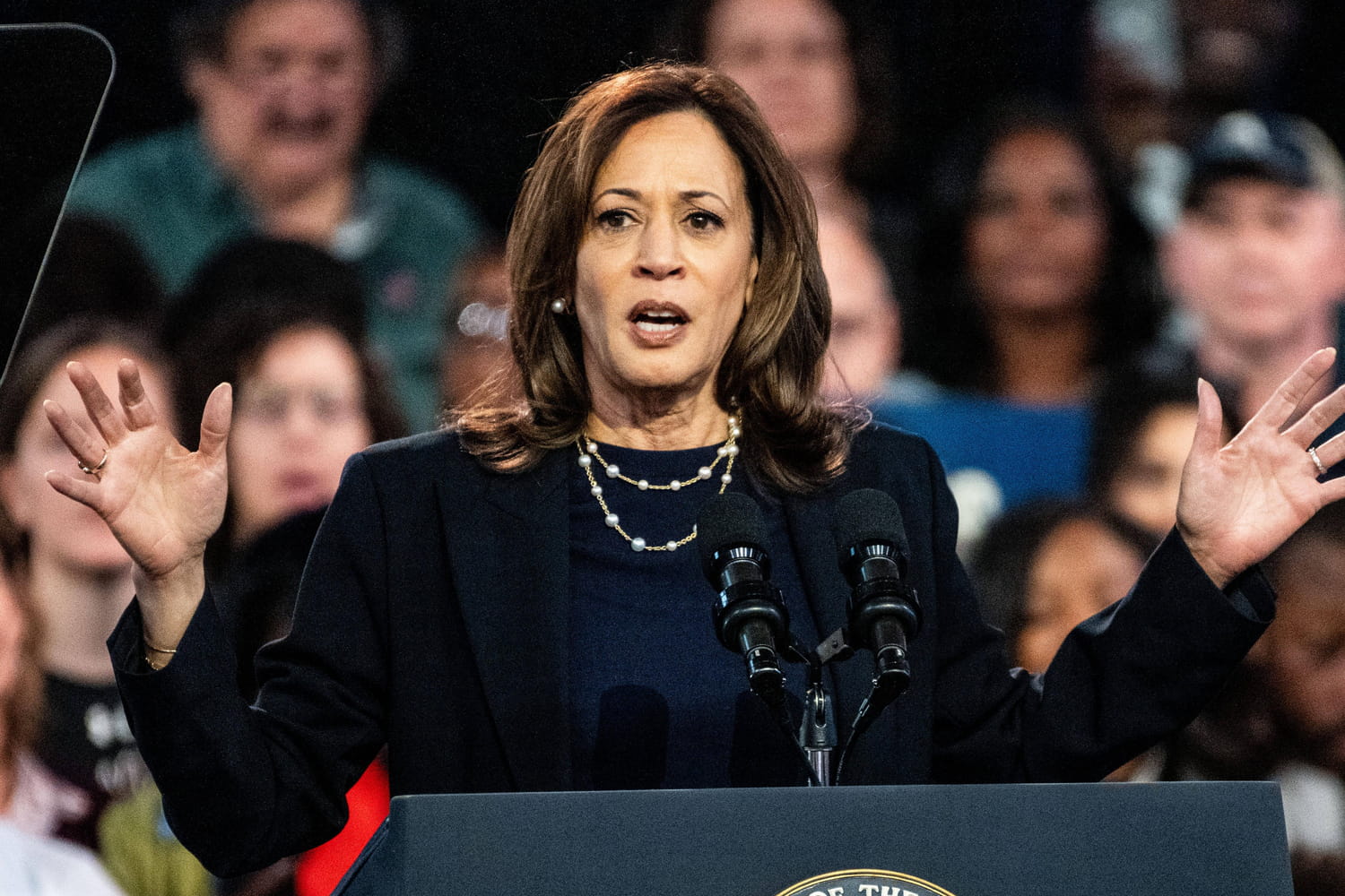 Kamala Harris : des résultats très serrés dans les sondages... Une victoire encore possible ?