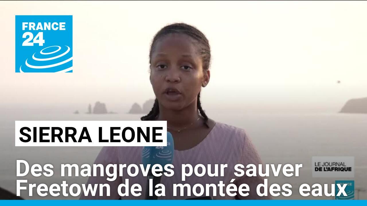 Sierra Leone : des mangroves pour sauver Freetown de la montée des eaux