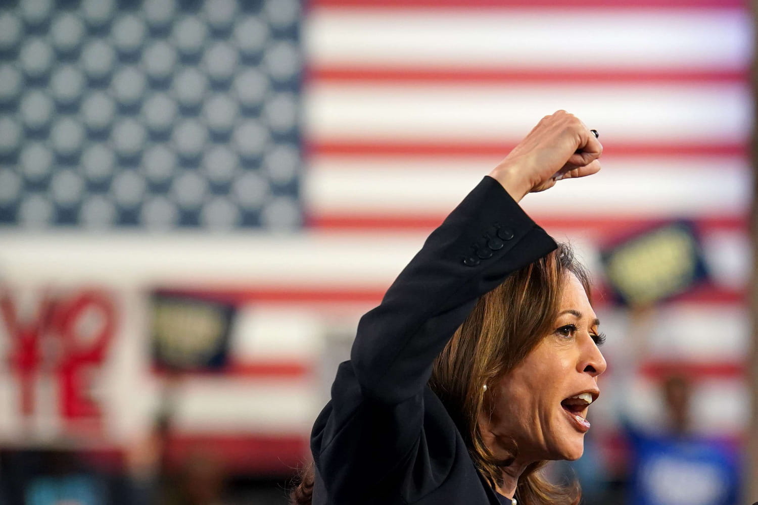 Programme de Kamala Harris : économie, immigration, avortement... Ses principales mesures