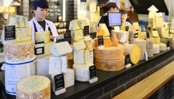 “Razzia sur le fromage” : qui a volé 22 tonnes de cheddar à Londres ?