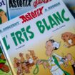 « Astérix » va revenir avec Fabcaro au scénario en 2025 (mais on ne connaît pas encore le titre)