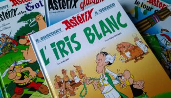 « Astérix » va revenir avec Fabcaro au scénario en 2025 (mais on ne connaît pas encore le titre)