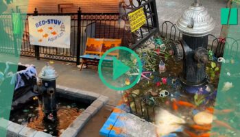 À Brooklyn, l’aquarium de Bed-Stuy installé en pleine rue a été remplacé par du béton