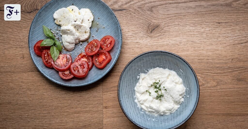 Käse selber machen: Und in einem Jahr ist mein erster Cheddar fertig