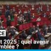 Budget 2025 : quel avenir à l'Assemblée ?