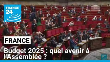 Budget 2025 : quel avenir à l'Assemblée ?