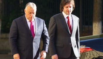 En visite en Géorgie, Viktor Orban “légitime une élection discutable”