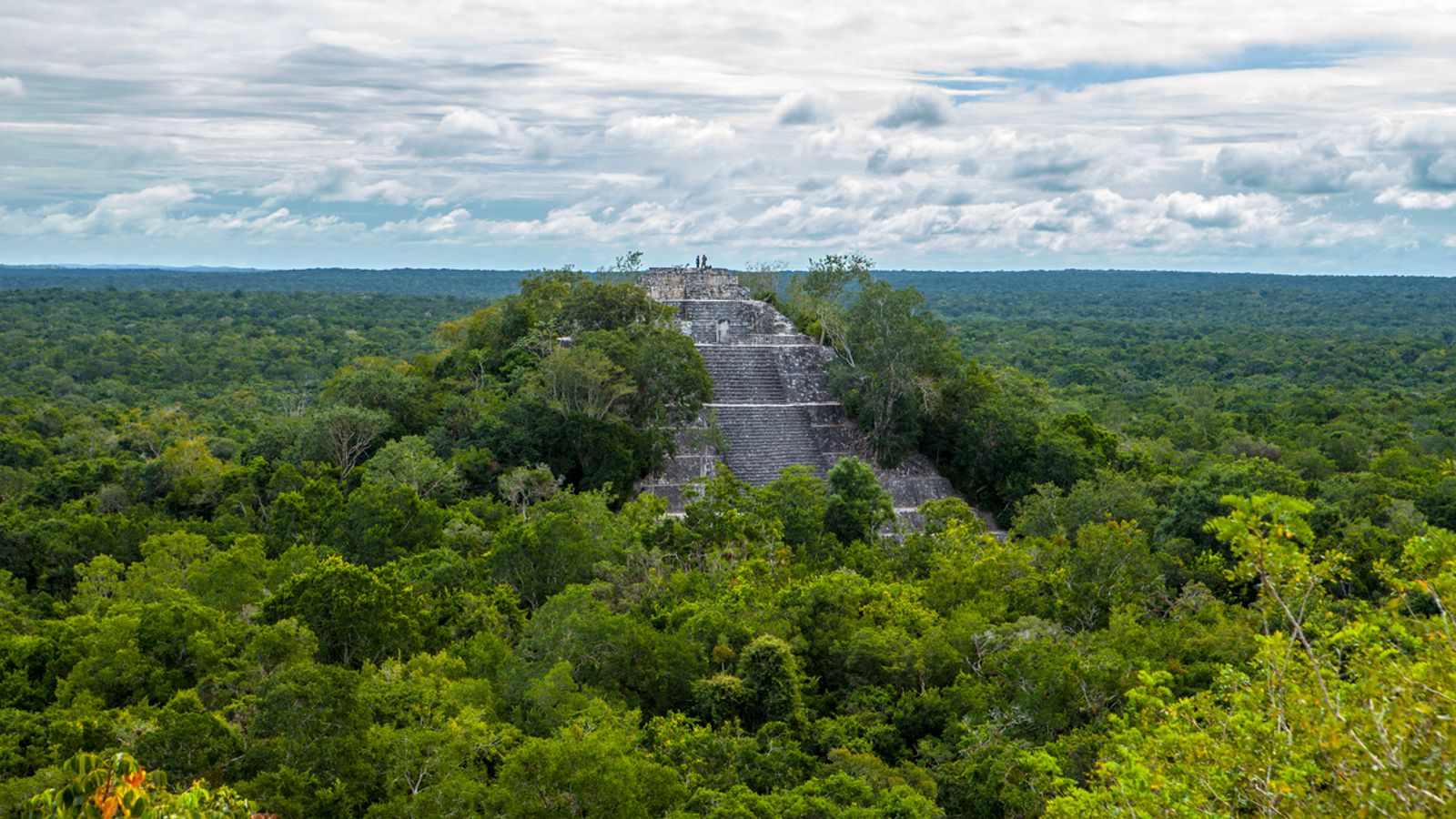 Calakmul pyramids among the trees in Campeche, Mexico stock photo. Pic: iStock