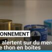 Mercure dans le thon en boîtes : une "contamination généralisée" alertent 2 ONG