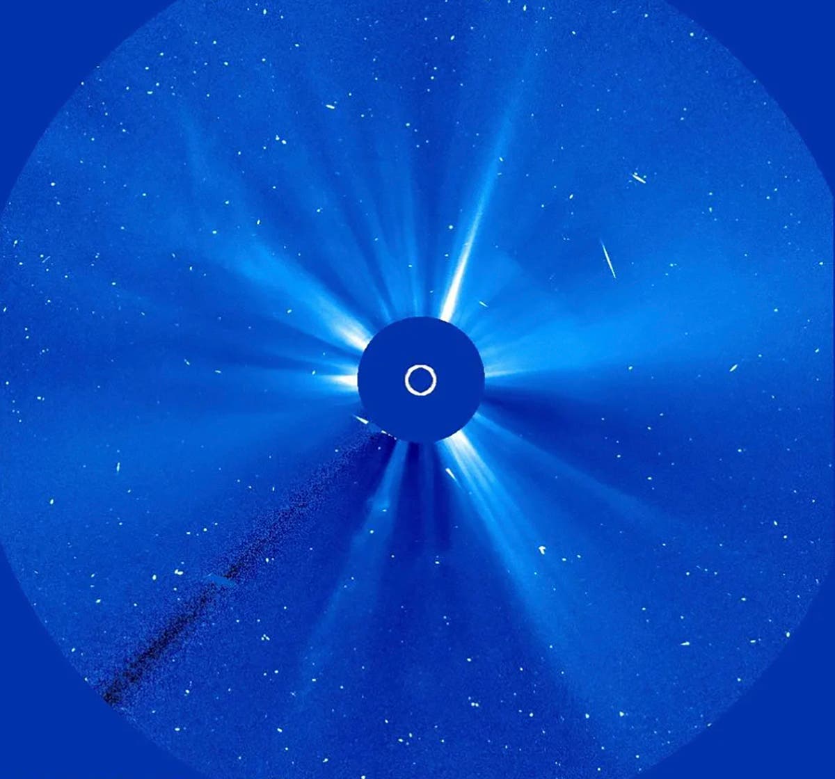 'Halloween comet' breaks apart after flying close to the sun