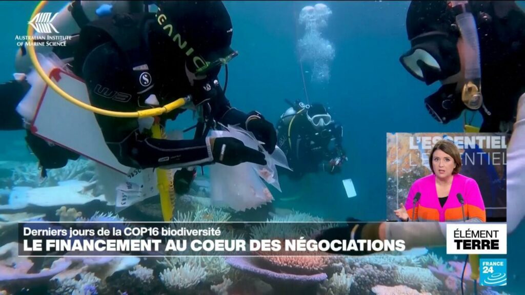 COP16: Le financement au cœur des négociations