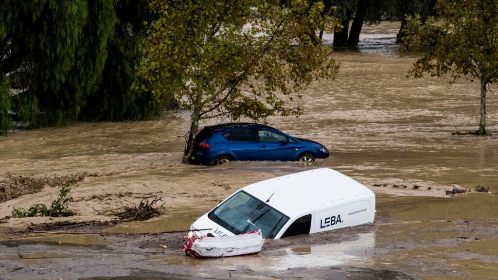 Cars are swept away by the water, after floods preceded by heavy rains caused the river to overflow its banks in the town of Alora, Malaga, Spain, Tuesday, Oct. 29, 2024. (AP Photo/Gregorio Marrero)