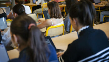 Exode des étudiants martiniquais en métropole : «Je n’ai pas choisi de partir, j’y ai été contrainte»