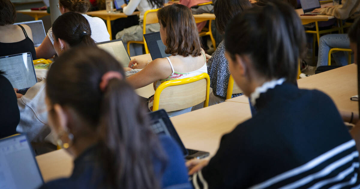 Exode des étudiants martiniquais en métropole : «Je n’ai pas choisi de partir, j’y ai été contrainte»