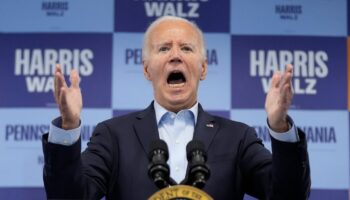 Biden calls Trump supporters 'garbage' during Harris campaign call as VP calls for unity at Ellipse rally