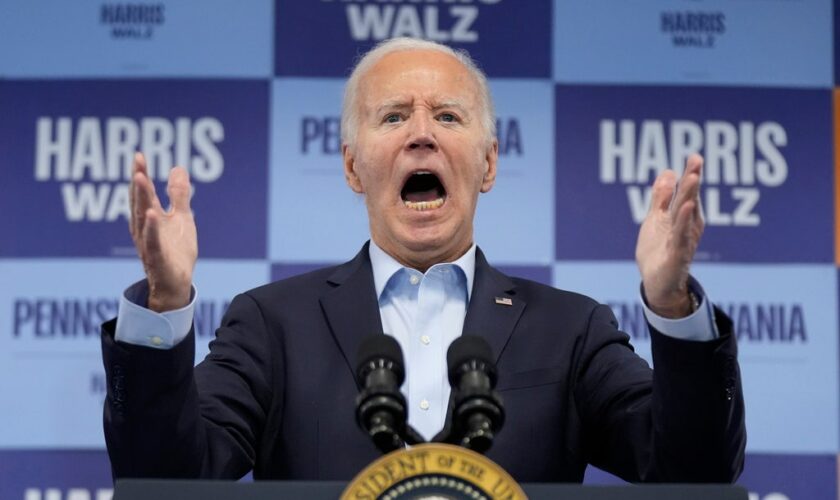 Biden calls Trump supporters 'garbage' during Harris campaign call as VP calls for unity at Ellipse rally