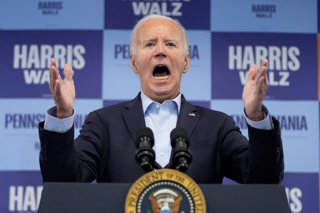 Biden calls Trump supporters 'garbage' during Harris campaign call as VP calls for unity at Ellipse rally