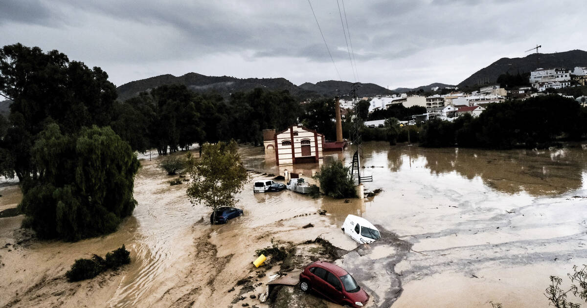 Sachets de nicotine bientôt interdits, inondations en Espagne, la palme d’or 2024 au cinéma… L’actu de ce mercredi matin